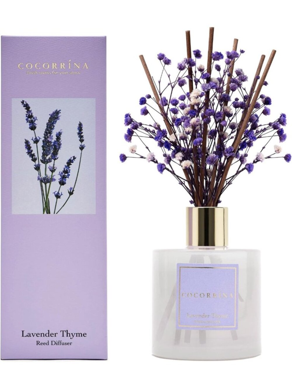 Lavender Thyme Reed Diffuser Set with Baby's Breath & Cotton Sticks | 6.76 Fl.